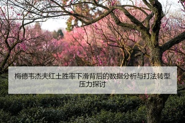 梅德韦杰夫红土胜率下滑背后的数据分析与打法转型压力探讨