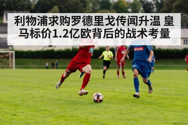 利物浦求购罗德里戈传闻升温 皇马标价1.2亿欧背后的战术考量